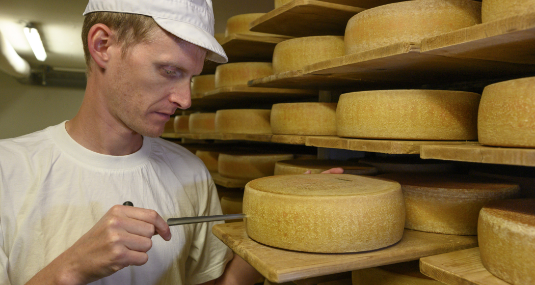 Nossa Caschareia / Savogniner Heumilch Käse (nsp_img_a4b81f5)