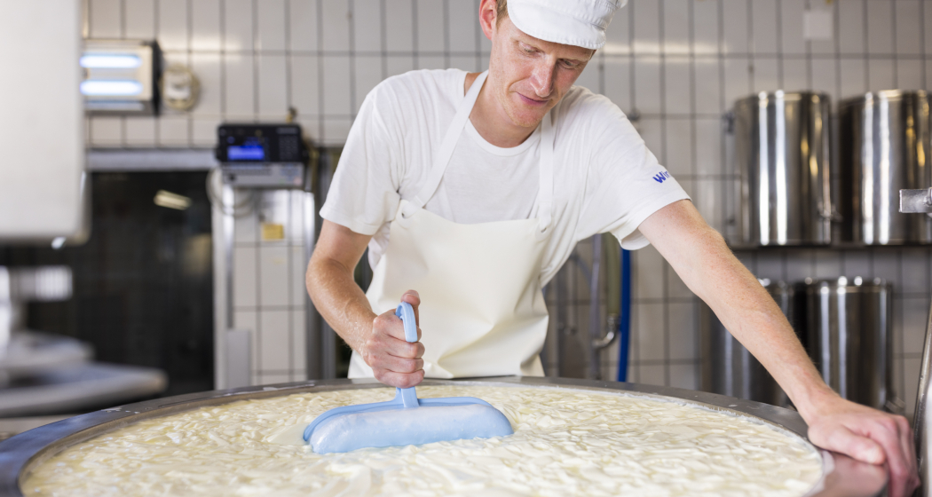 Nossa Caschareia / Savogniner Heumilch Käse (nsp_img_b310b97)