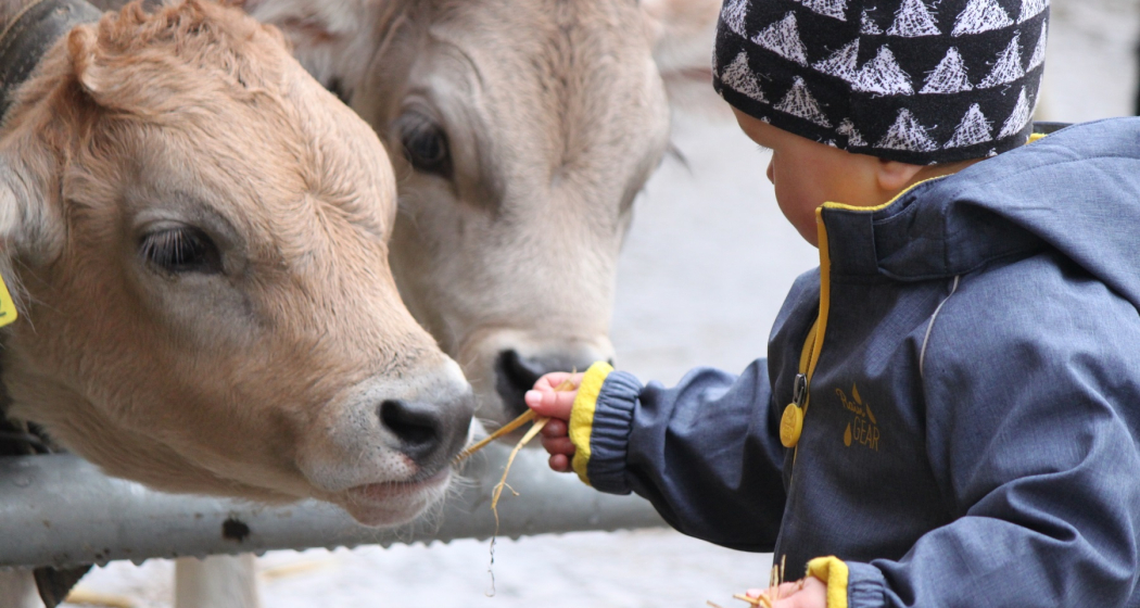 Hofladen Güdahof Tschiertschen Hofladen Güdahof Tschiertschen