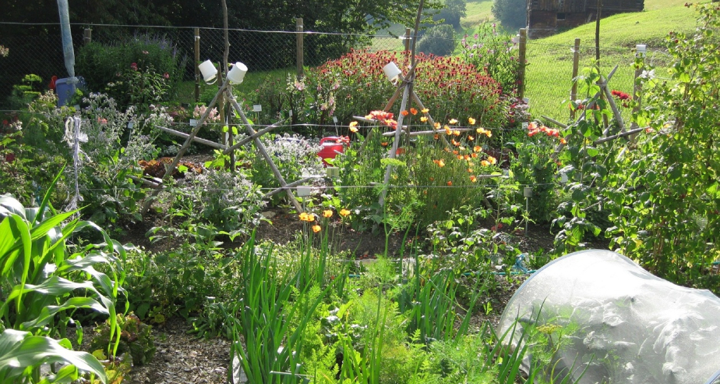 Bauernhof und Schaugarten Schnider, Surcuolm (oua_50792421_image)