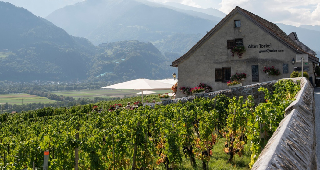 Alter Torkel - Huus vom Bündner Wii (oua_604435729_image) Alter Torkel - Huus vom Bündner Wii (oua_604435729_image)