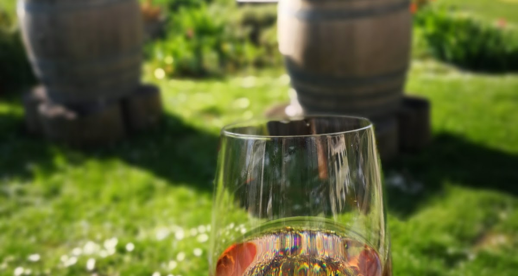 Ernas Törkali (oua_604478522_image)