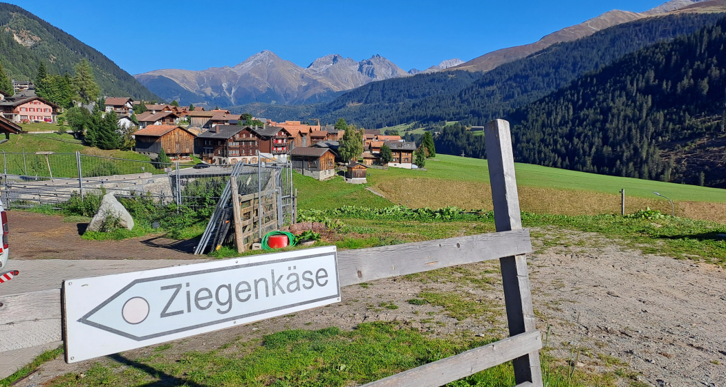 Die Ziegen sind gerade auf der Weide