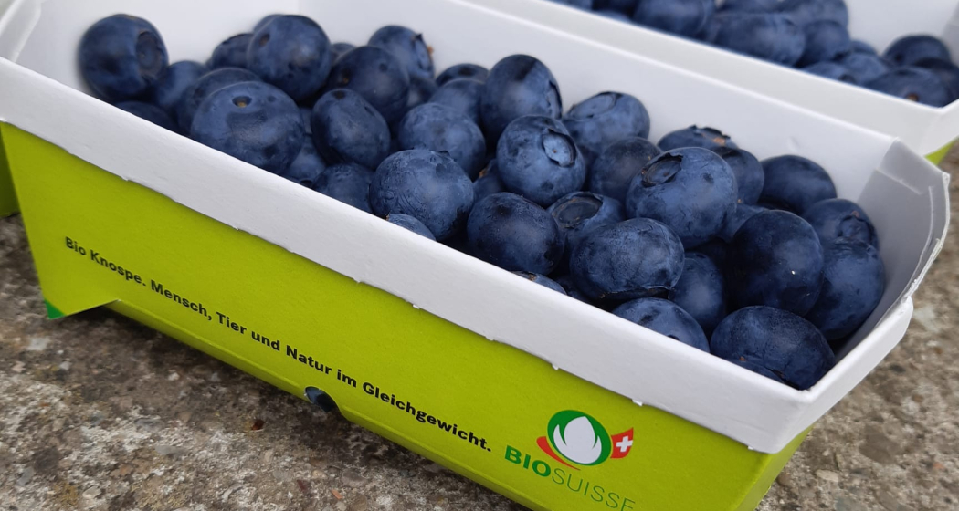 Hof Entenbach (oua_74171700_image)