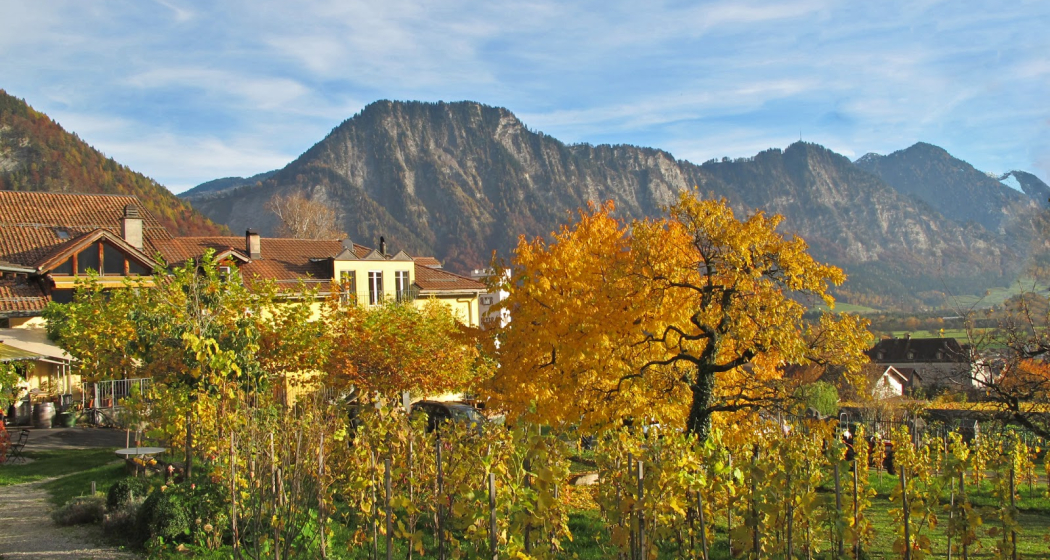 Weingut Fromm, Malans Weingut Fromm, Malans