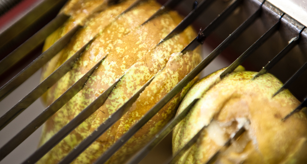 Öpfelfarm (oua_76059425_image)