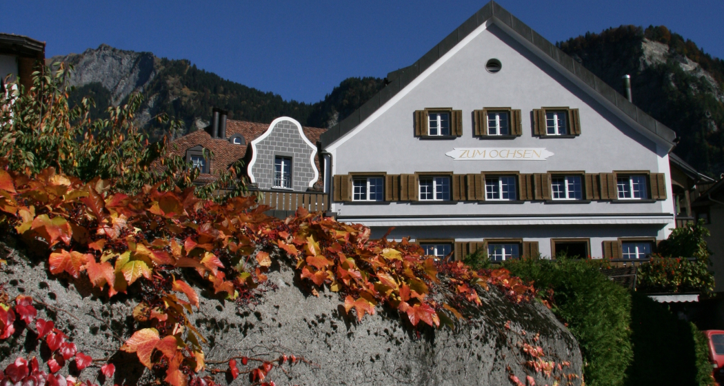Weingut Donatsch & Winzerstube "zum Ochsen" (oua_77722518_image)