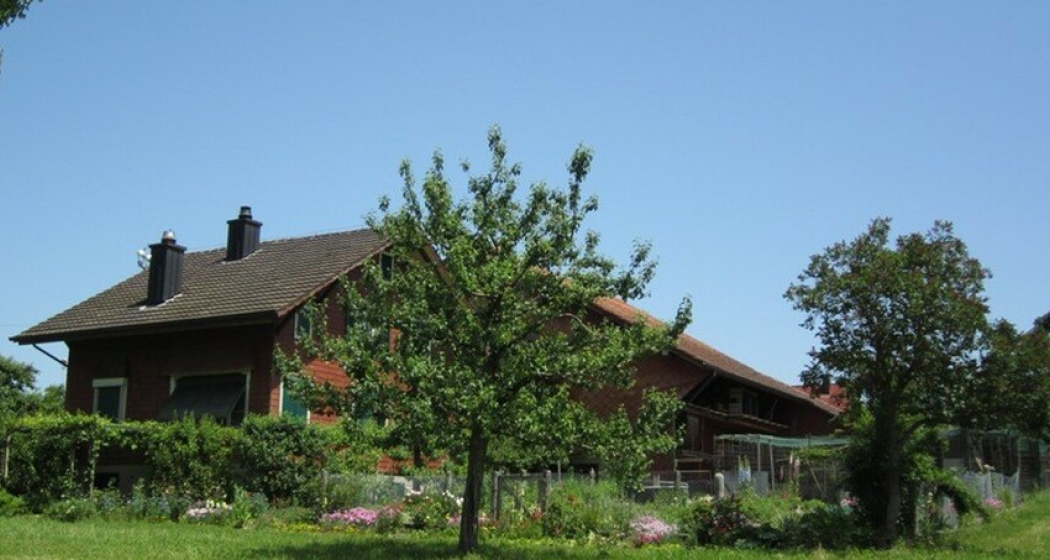 Wolfwingertenhof (oua_80816135_image)