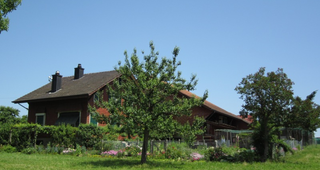 Wolfwingertenhof (oua_81339409_image) Wolfwingertenhof (oua_81339409_image)