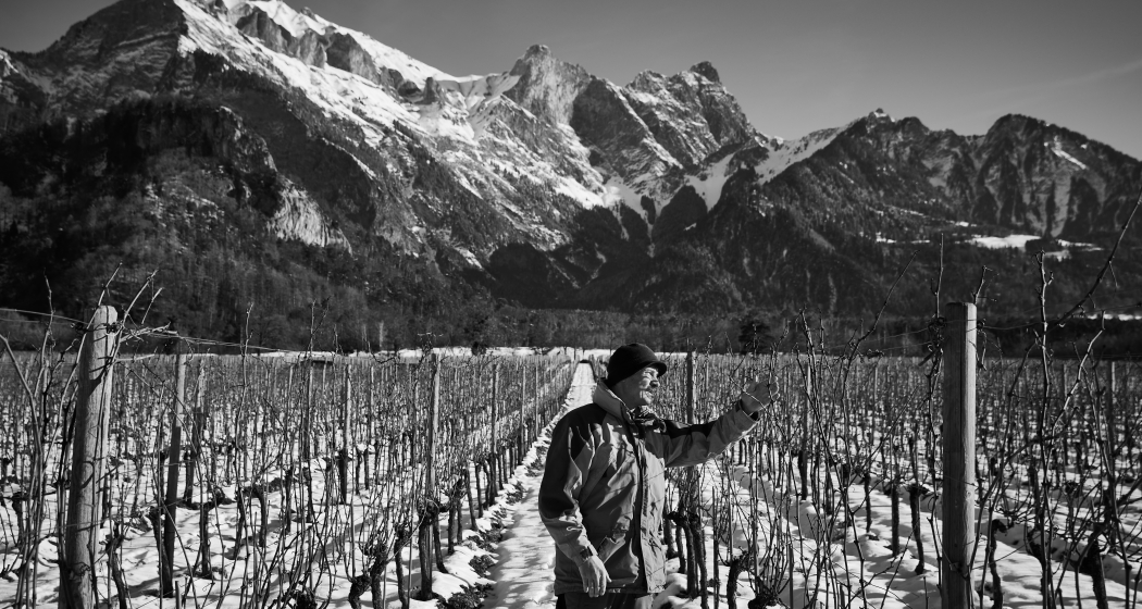 Weingut Familie Hansruedi Adank (oua_82362469_image)