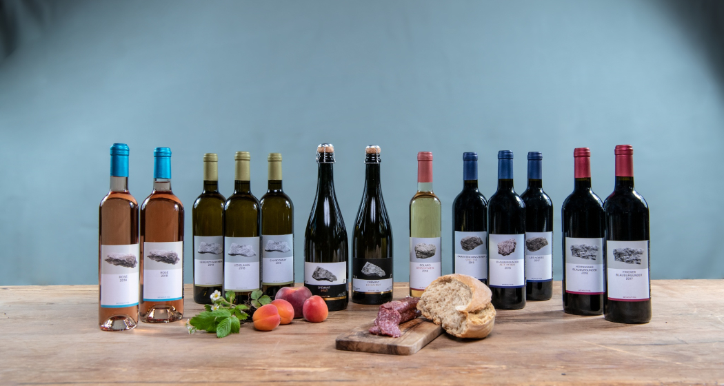 Frick: Weingut FiBL (oua_85322922_image) Frick: Weingut FiBL (oua_85322922_image)