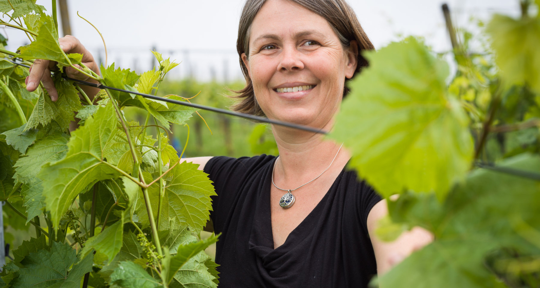Villigen: Weingut Schödler (oua_85323151_image)