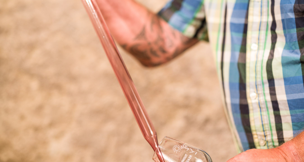 Villigen: Weingut Schödler (oua_85323153_image)