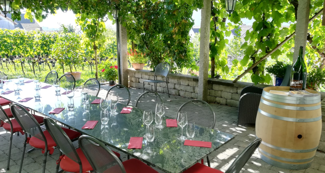 Weingut Heidelberg, Maienfeld (ctd_25f39777-0e9a-4bfc-979a-d1563b9149b1_image) Weingut Heidelberg, Maienfeld (ctd_25f39777-0e9a-4bfc-979a-d1563b9149b1_image)