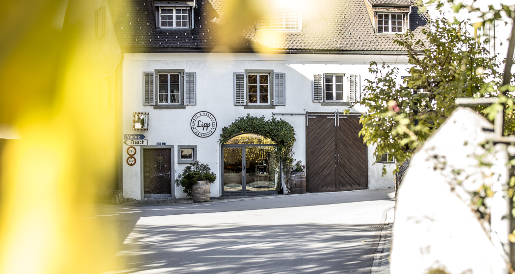 Lipp Weingut & Destillerie (ctd_45005140-0670-434e-9b87-02580f1e128b_img01)