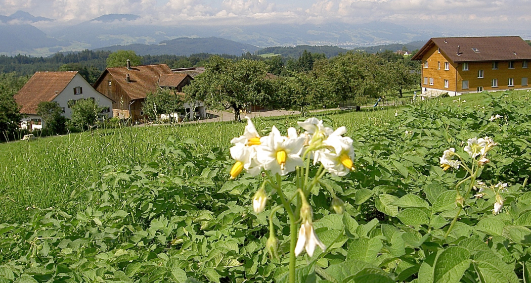 Hof Sicht von oberhalb Hof Sicht von oberhalb