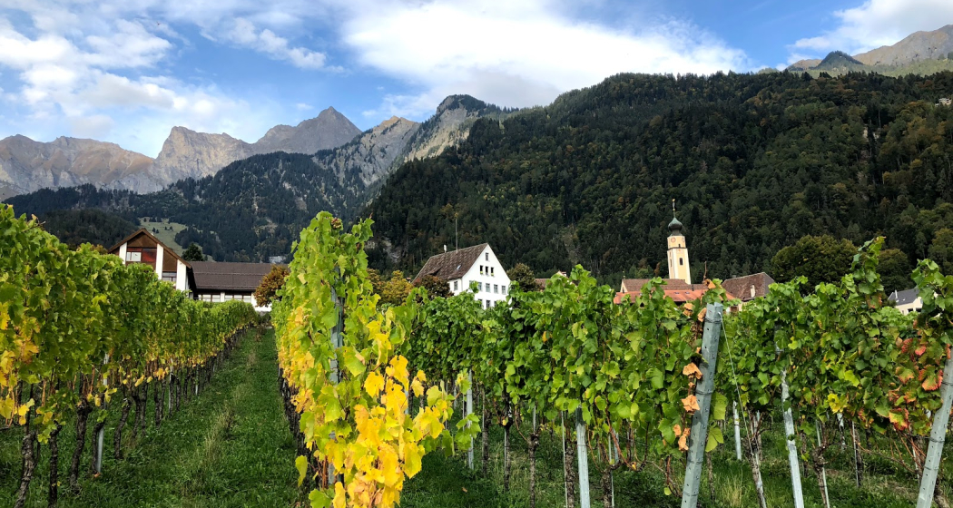 Jürg Obrecht Weine Jenins (ctd_52075ba5-2e24-4647-ae65-0da209ac48e8_image)