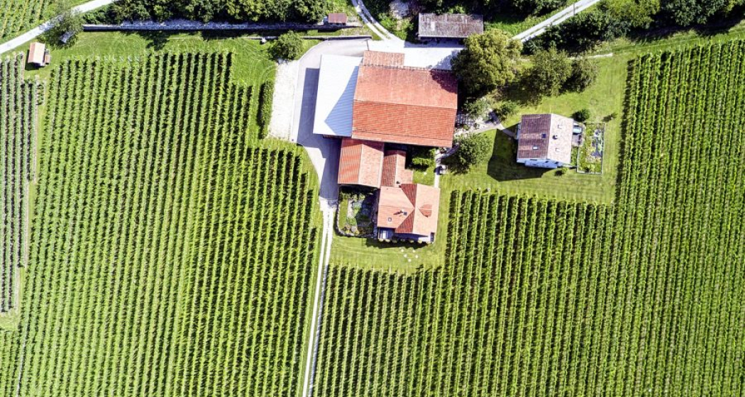 Liesch Weine AG, Ueli & Jürg Liesch (ctd_a66dfa9b-17fa-4790-922a-2aceafb0d12c_image) Liesch Weine AG, Ueli & Jürg Liesch (ctd_a66dfa9b-17fa-4790-922a-2aceafb0d12c_image)