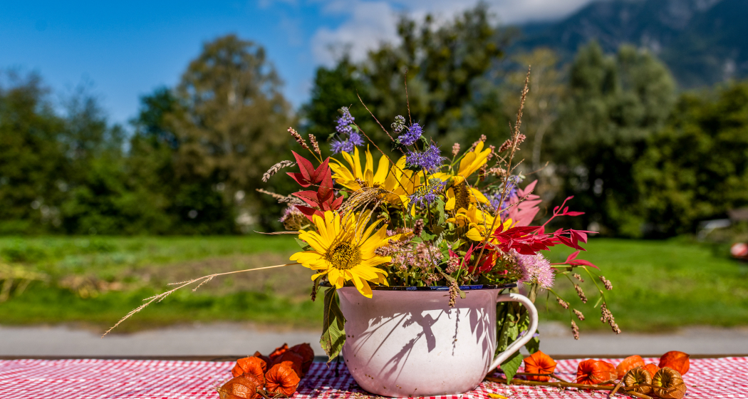Bunter Blumenstrauß in einer nostalgischen Tasse auf dem Neufeldhof in Liechtenstein – regionale Idylle mit Alpenblick.