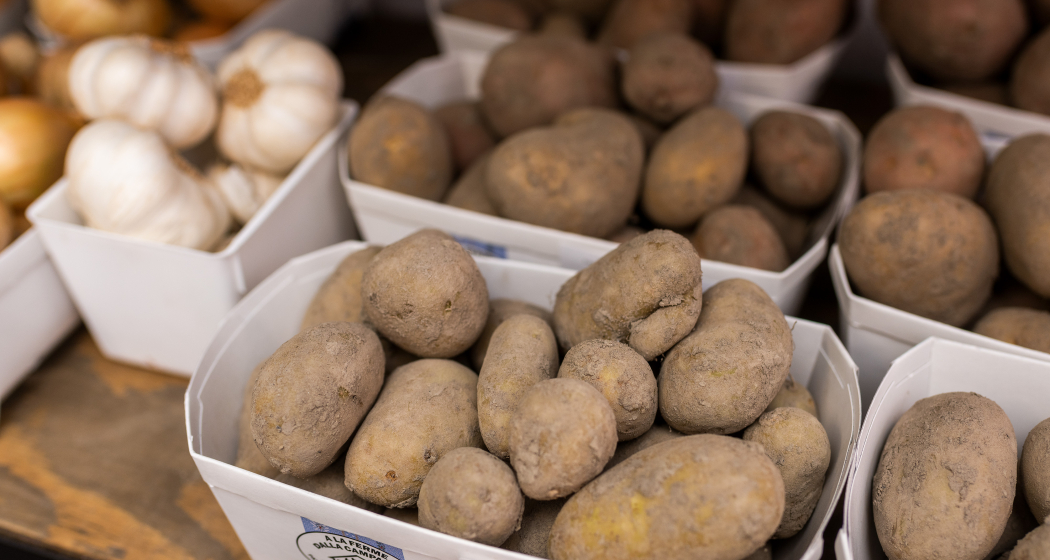 Frisch geerntete Kartoffeln aus eigener Produktion im Hofladen des Neufeldhofs – regional und naturbelassen.