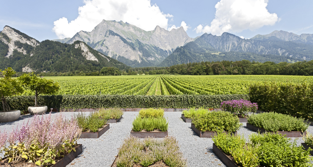 Weingut Davaz (ctd_eaf47ea7-98ff-4f97-822e-279b73857dde_image)