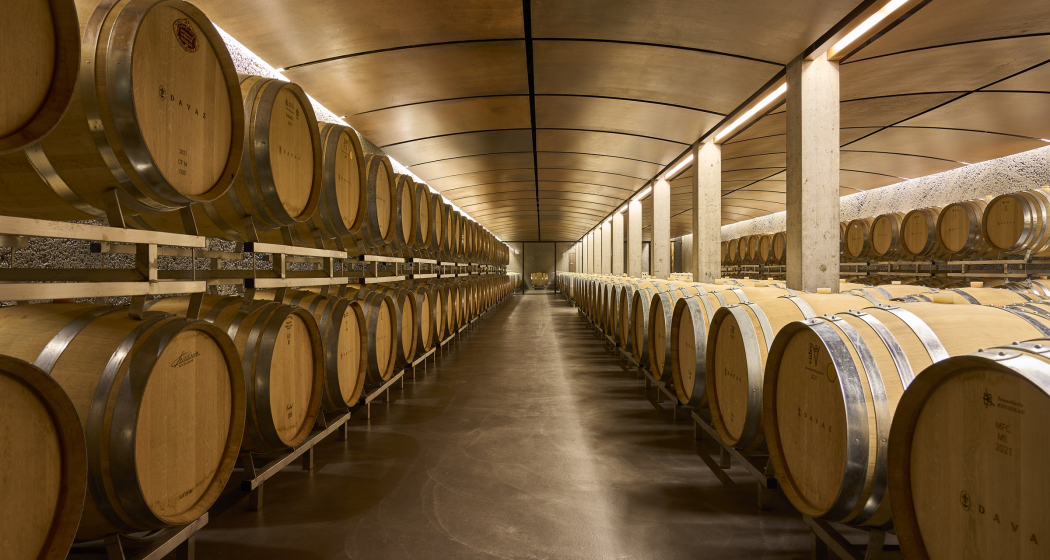 Führung und Degustation im Weingut Davaz (gdl_810858619_image)