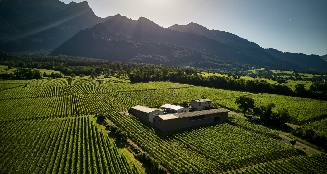 Führung und Degustation im Weingut Davaz (gdl_810858687_image)