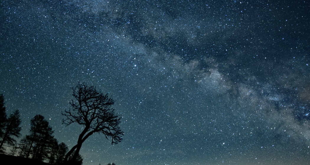 (G)astronomisches Erlebnis (gdl_810859151_image)