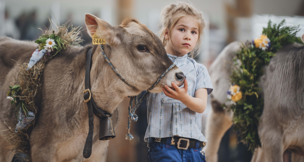 agrischa - Erlebnis Landwirtschaft Zernez (gdl_895697956_image)