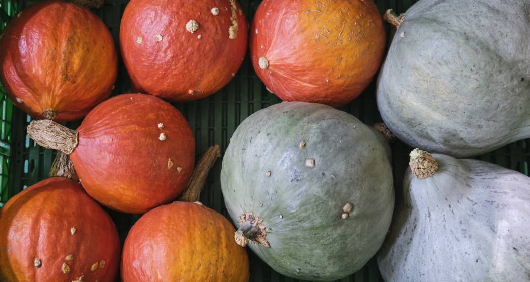 Klimagipfel für Landwirtschaft und Esskultur (gdl_895722146_image)