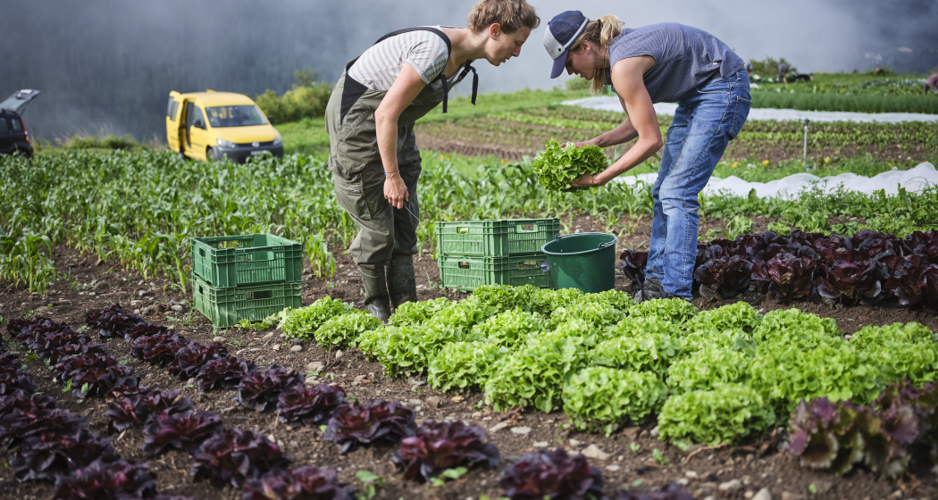 Klimagipfel für Landwirtschaft und Esskultur (gdl_895741327_image)