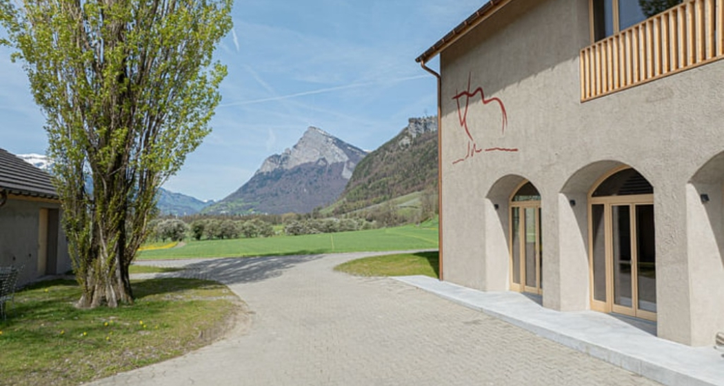 Wein, Literatur & Kulinarik (gdl_897914433_image)