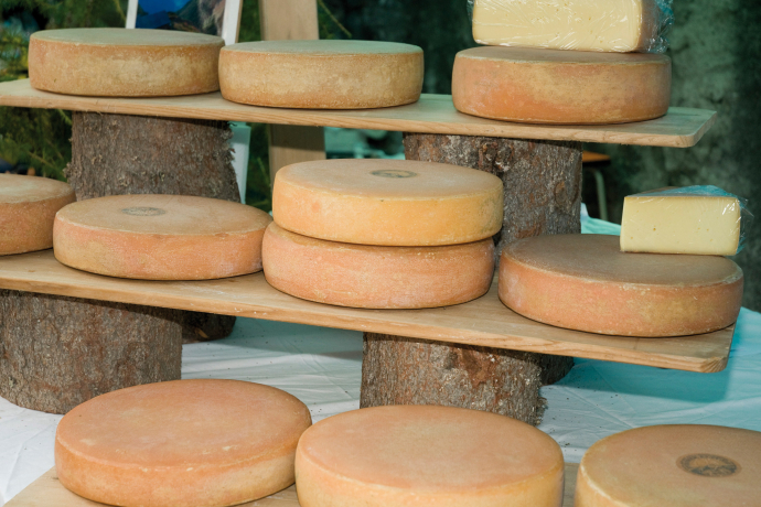 Aussichtsreiche Wanderung von Klosters Dorf über Hochstelli nach Sankt Antönien (oua_23840855_image)