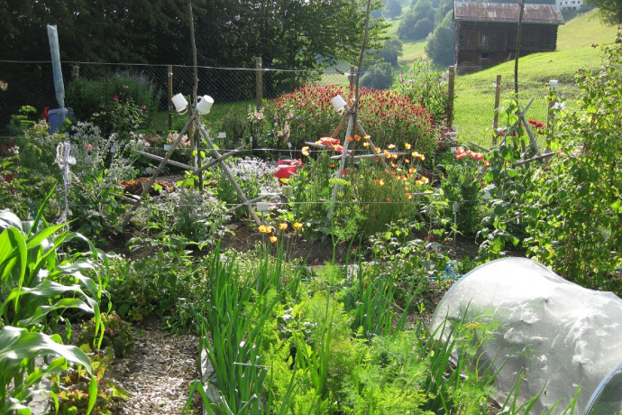 Bauernhof und Schaugarten Schnider, Surcuolm (oua_50792421_image)
