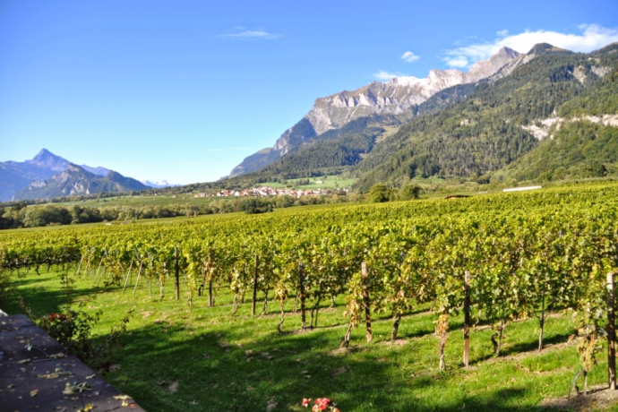 Weingut Anjan Boner Weingut Anjan Boner