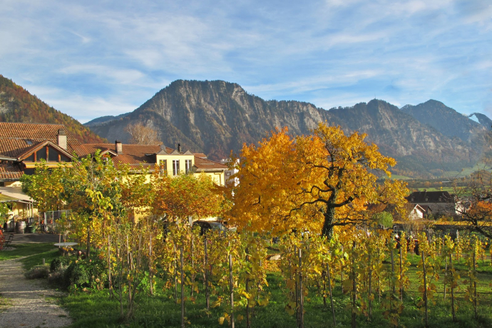 Weingut Fromm, Malans Weingut Fromm, Malans