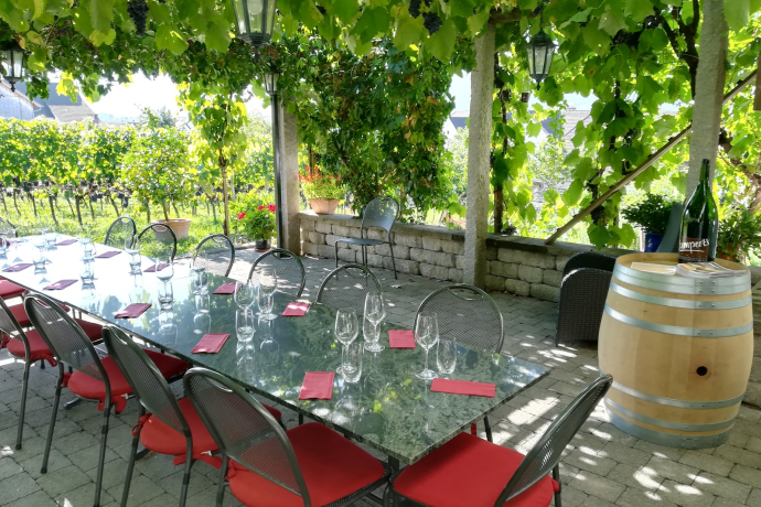 Weingut Heidelberg, Maienfeld (ctd_25f39777-0e9a-4bfc-979a-d1563b9149b1_image) Weingut Heidelberg, Maienfeld (ctd_25f39777-0e9a-4bfc-979a-d1563b9149b1_image)