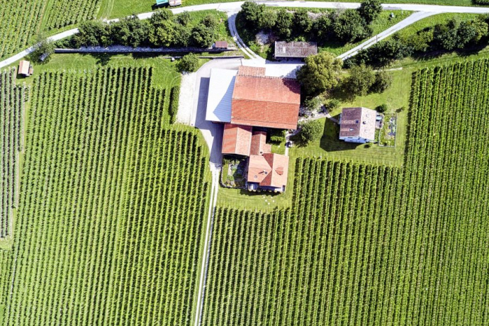 Liesch Weine AG, Ueli & Jürg Liesch (ctd_a66dfa9b-17fa-4790-922a-2aceafb0d12c_image) Liesch Weine AG, Ueli & Jürg Liesch (ctd_a66dfa9b-17fa-4790-922a-2aceafb0d12c_image)