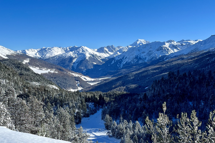 Plausch-Abend für Jedermann (gdl_730330693_image)