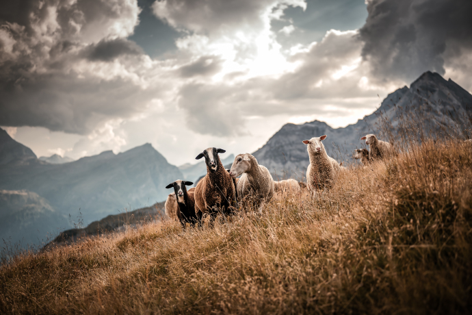 Hofladen Bio Yak Hof Heinz