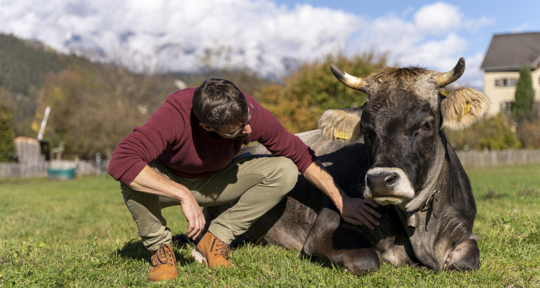 Adrian Hirt mit Kuh
