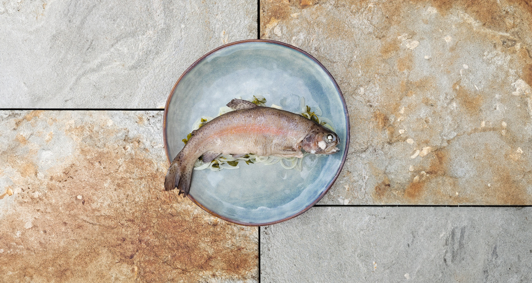 Forelle blau