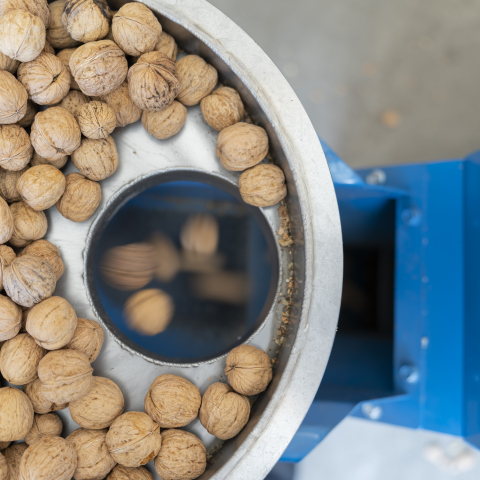 Nussknack-Maschine
