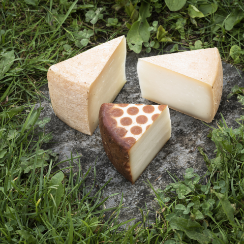 käse