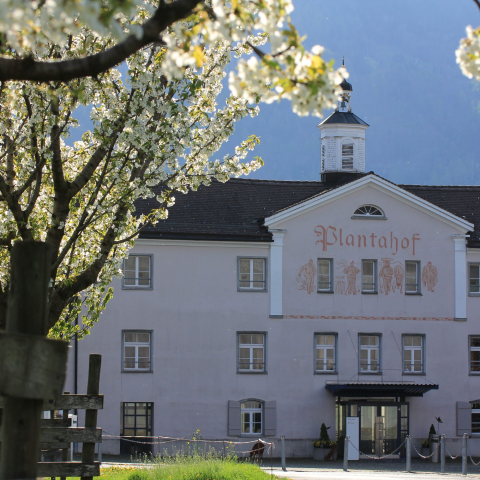Plantahof