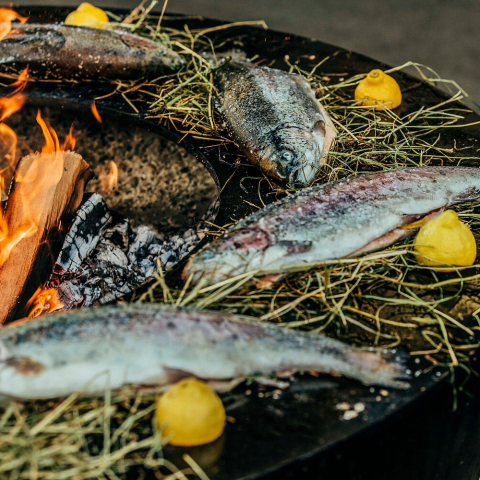 Fisch