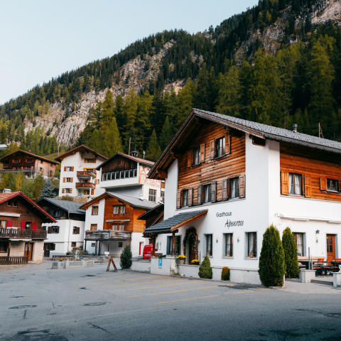 Alpenrose