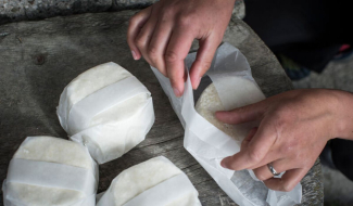 Milch ist nicht gleich Milch