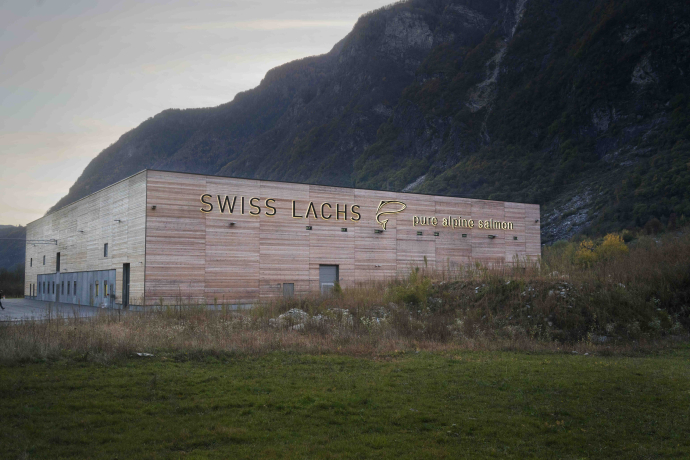 Swiss Lachs