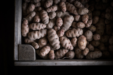 Kartoffeln